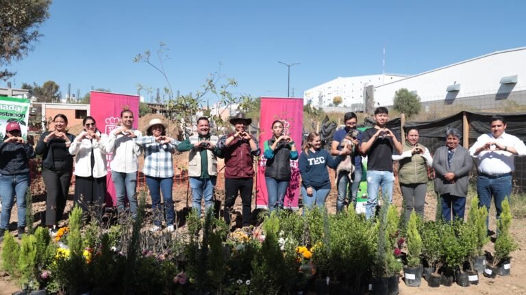 Realiza la diputada Norma Estela Pimentel jornada de reforestación en San Lorenzo Almecatla