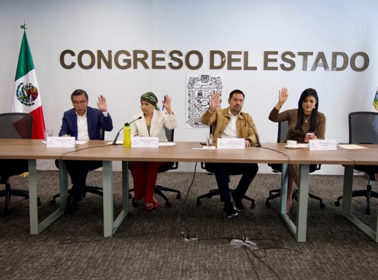 Aprueba Comisión Del Congreso Reformas Para Que Elementos De Seguridad Privada Sean Capacitados Y Evaluados