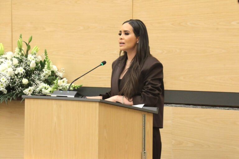 Presenta diputada Graciela Palomares exhorto para fortalecer vigilancia y protección del consumidor en temporada decembrina