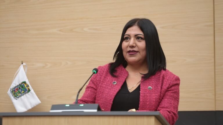 Impulsa diputada Araceli Celestino medidas preventivas ante ofertas de empleo fraudulentas