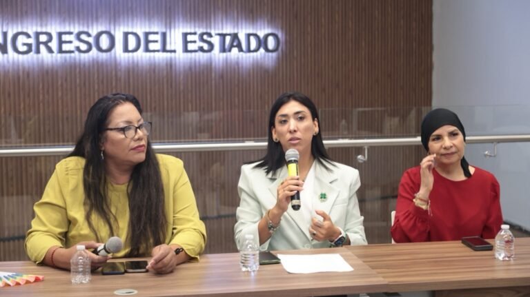 Promueve Diputada Guadalupe Vargas Iniciativa Para Fortalecer Protección Civil En Municipios