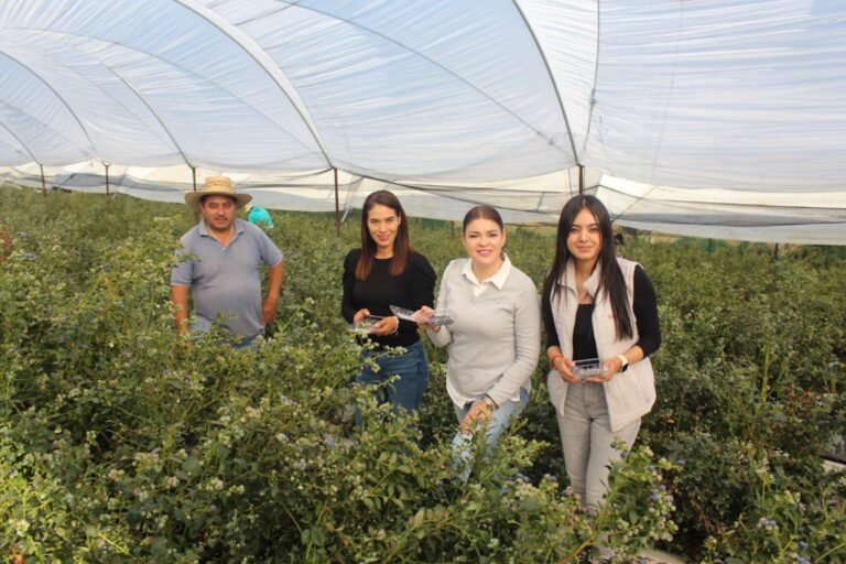 Bety Sánchez impulsa el desarrollo del campo zacateco