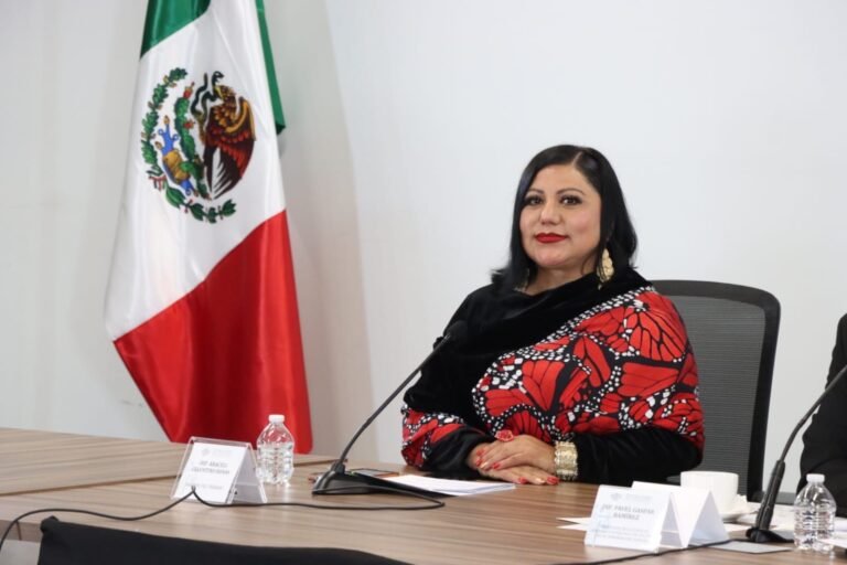 Congreso acompaña a comunidad migrante con acciones concretas: Araceli Celestino&nbsp;