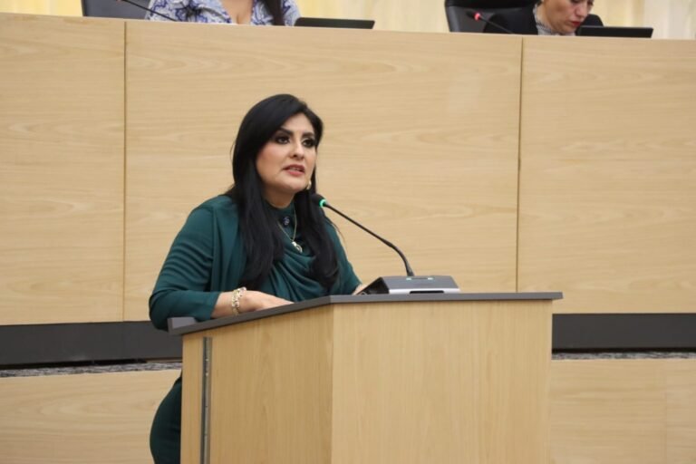 Propone diputada Delfina Pozos que municipios apliquen y supervisen procedimientos para el desarrollo policial