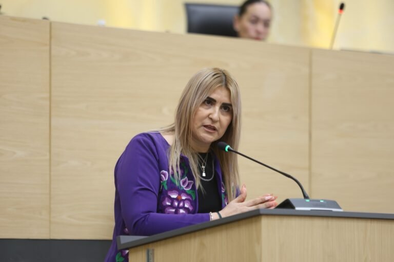 Ante el Pleno del Congreso, comparece la titular de la Fiscalía General del Estado&nbsp;