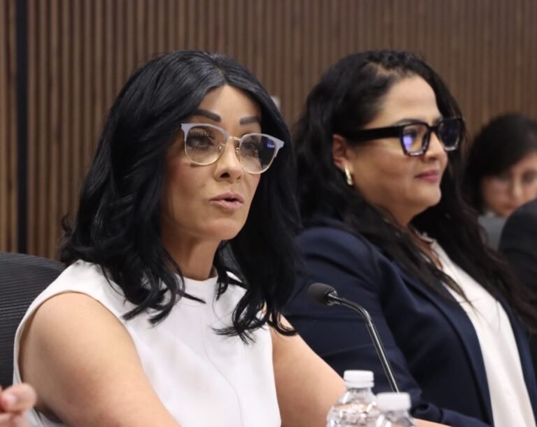 Titular de la CDH Puebla se presenta ante Comisión del Congreso para rendir informe&nbsp;