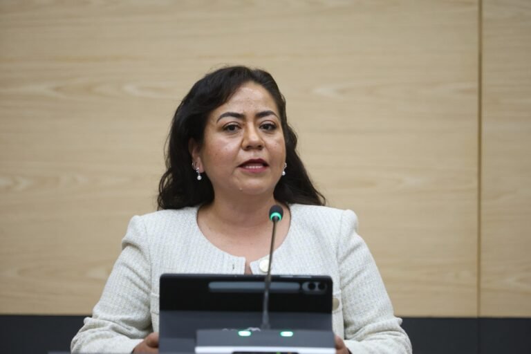 Impulsa diputada Celia Bonaga regular la coordinación entre seguridad pública y privada en fraccionamientos