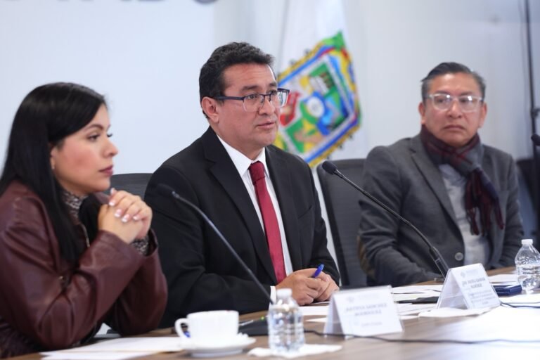 LXII Legislatura, comprometida con la ciudadanía y visitar sus distritos: Pavel Gaspar&nbsp;