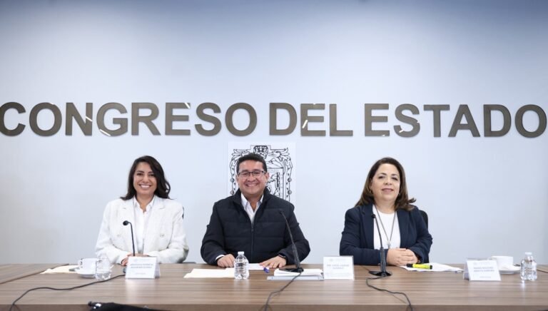 Crear Agencias de Colocación Especializadas para personas con discapacidad, propone la diputada Soledad Amieva&nbsp;