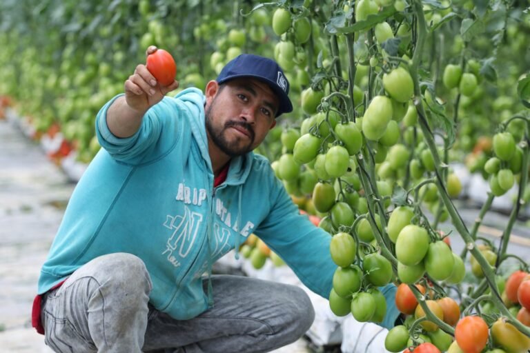 Avanza el CIITRA de Aquixtla con más del 25% de progreso