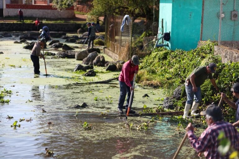 Faena comunitaria fortalece alianza entre Gobierno de Chignahuapan y ciudadanos para cuidar la laguna