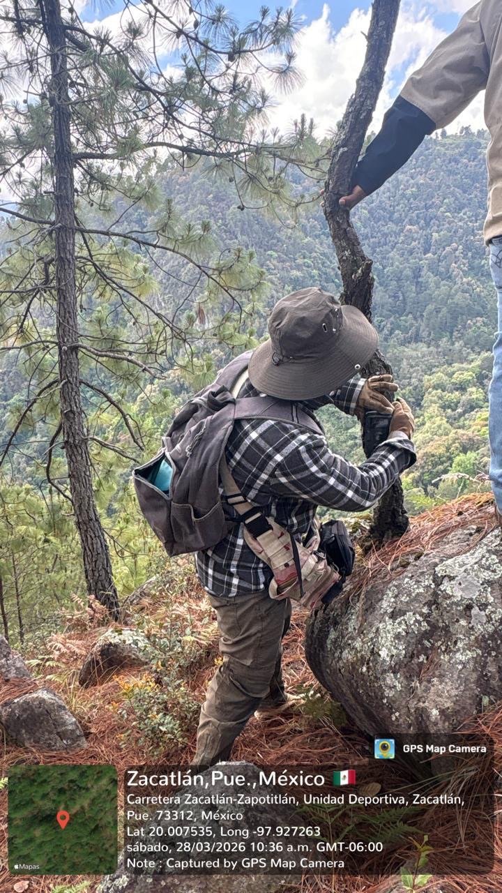 Gobierno de Zacatlán supervisa acciones de conservación en Santa Inés Jilotzingo