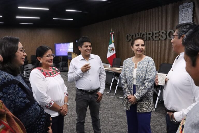 Analizan en el Congreso del Estado derechos indígenas y distribución de beneficios para las comunidades&nbsp;