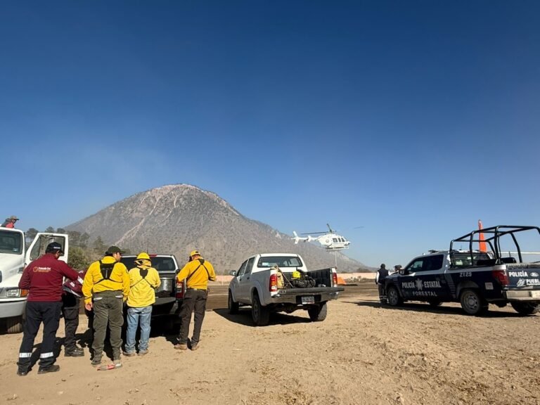 Gobierno Estatal controla incendios forestales en Puebla