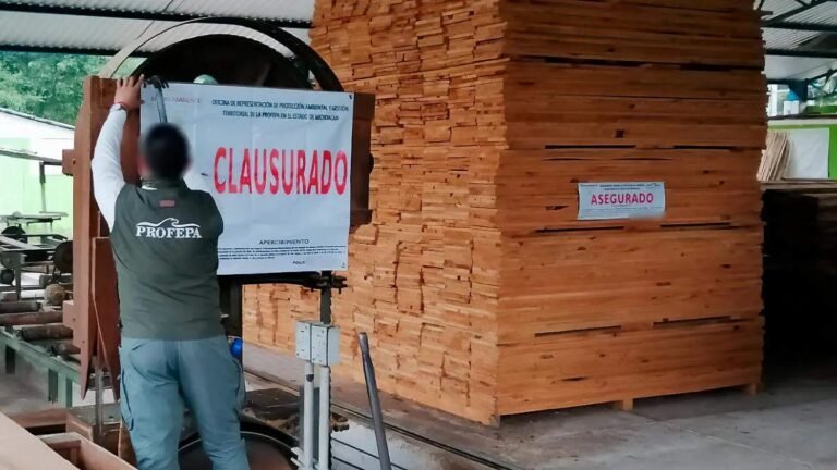 Denuncian operación irregular de aserradero clausurado en Ayotla, Zacatlán