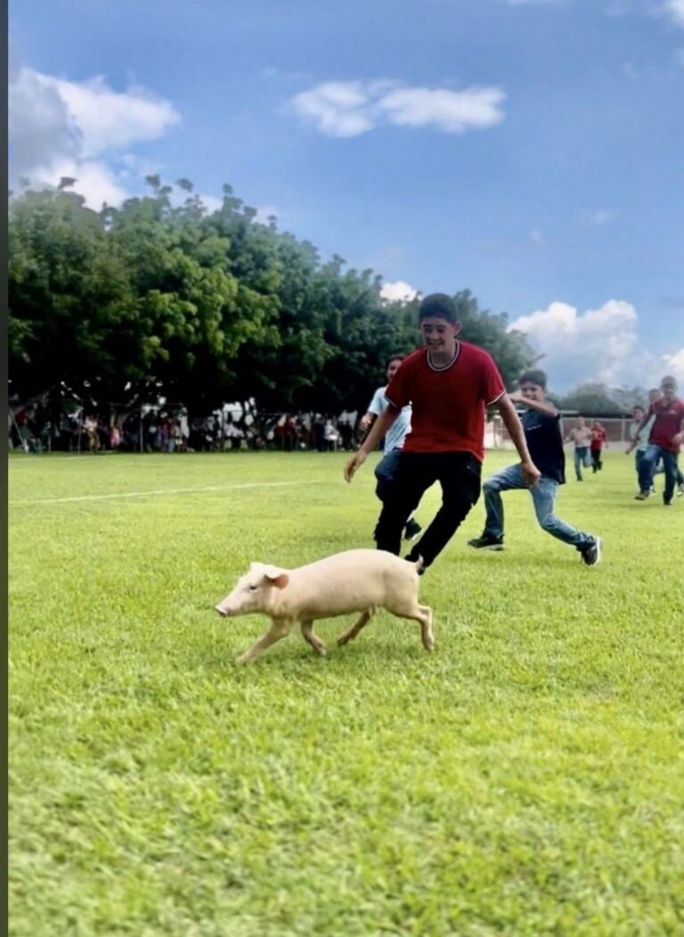 Piden cancelar el “Puerco Encebado” en Tlatempa por crueldad animal