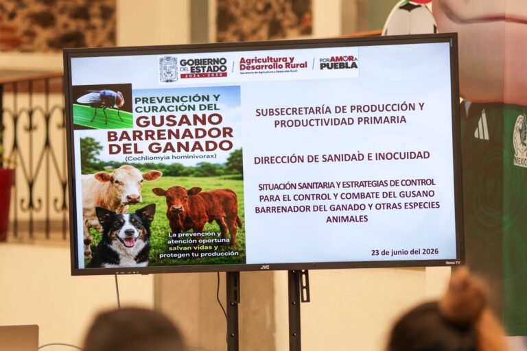 Chignahuapan fortalece la sanidad ganadera con capacitación sobre el Gusano Barrenador del Ganado