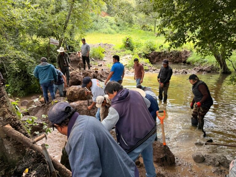 Autoridades y pobladores liberan cauce del río Tailcanango en Tomatlán, municipio de Zacatlán