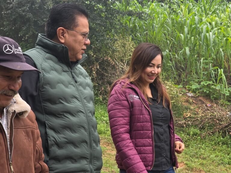 Oliva Lecona Santos impulsa obra comunitaria en Huauchinango para fortalecer a productoras y productores