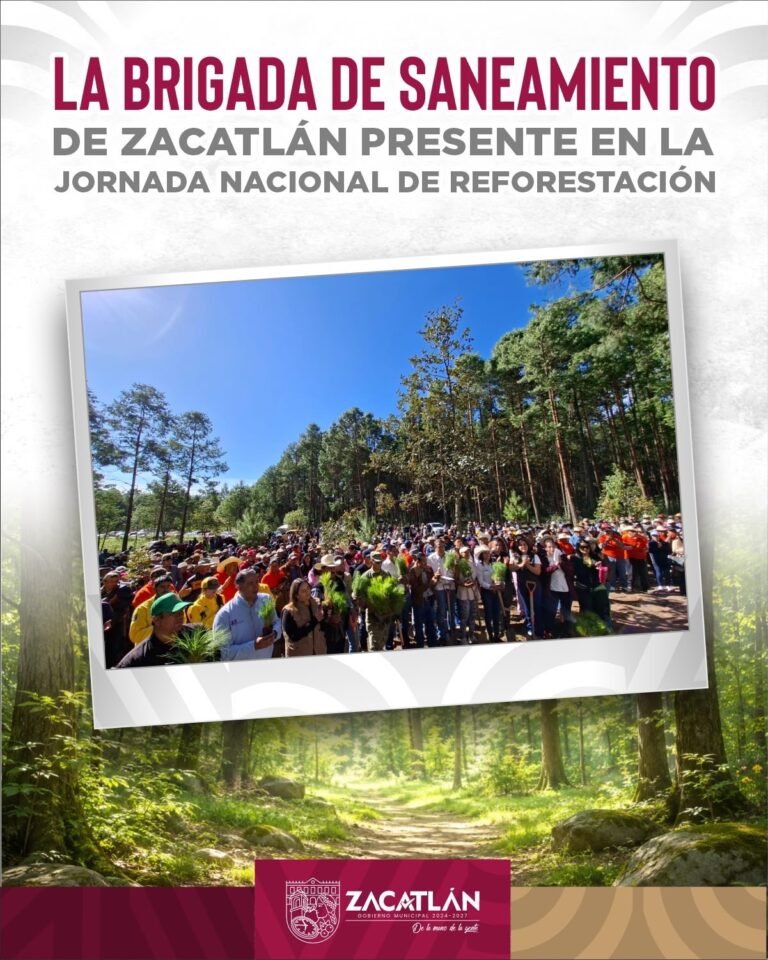 Zacatlán presente en la Jornada Nacional de Reforestación 2026