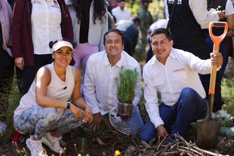 Sheinbaum y Armenta encabezan Jornada Nacional de Reforestación; Chignahuapan responde con 7,700 árboles
