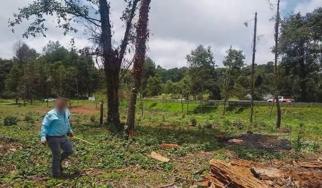 Clausuran terreno forestal en Maquixtla, Zacatlán